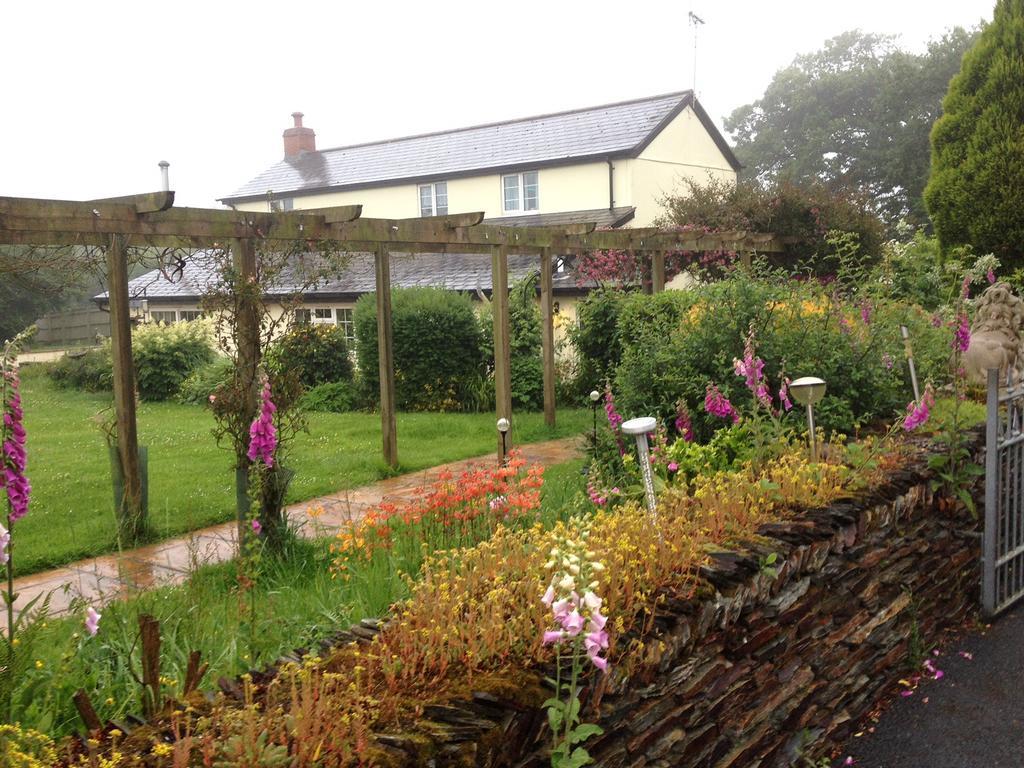 Barton Gate Farm B&B Bude Exterior foto